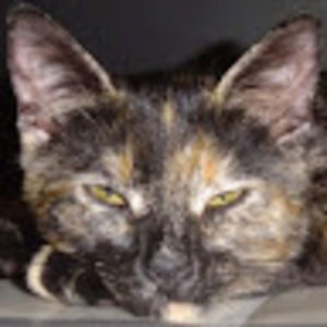 Meet your Posher, Alexandra